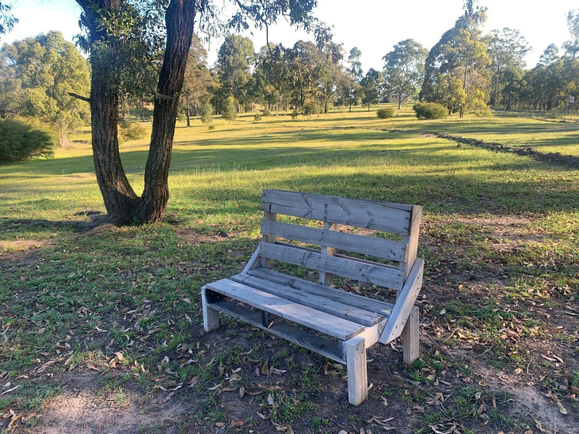 Davis farm in the paddock