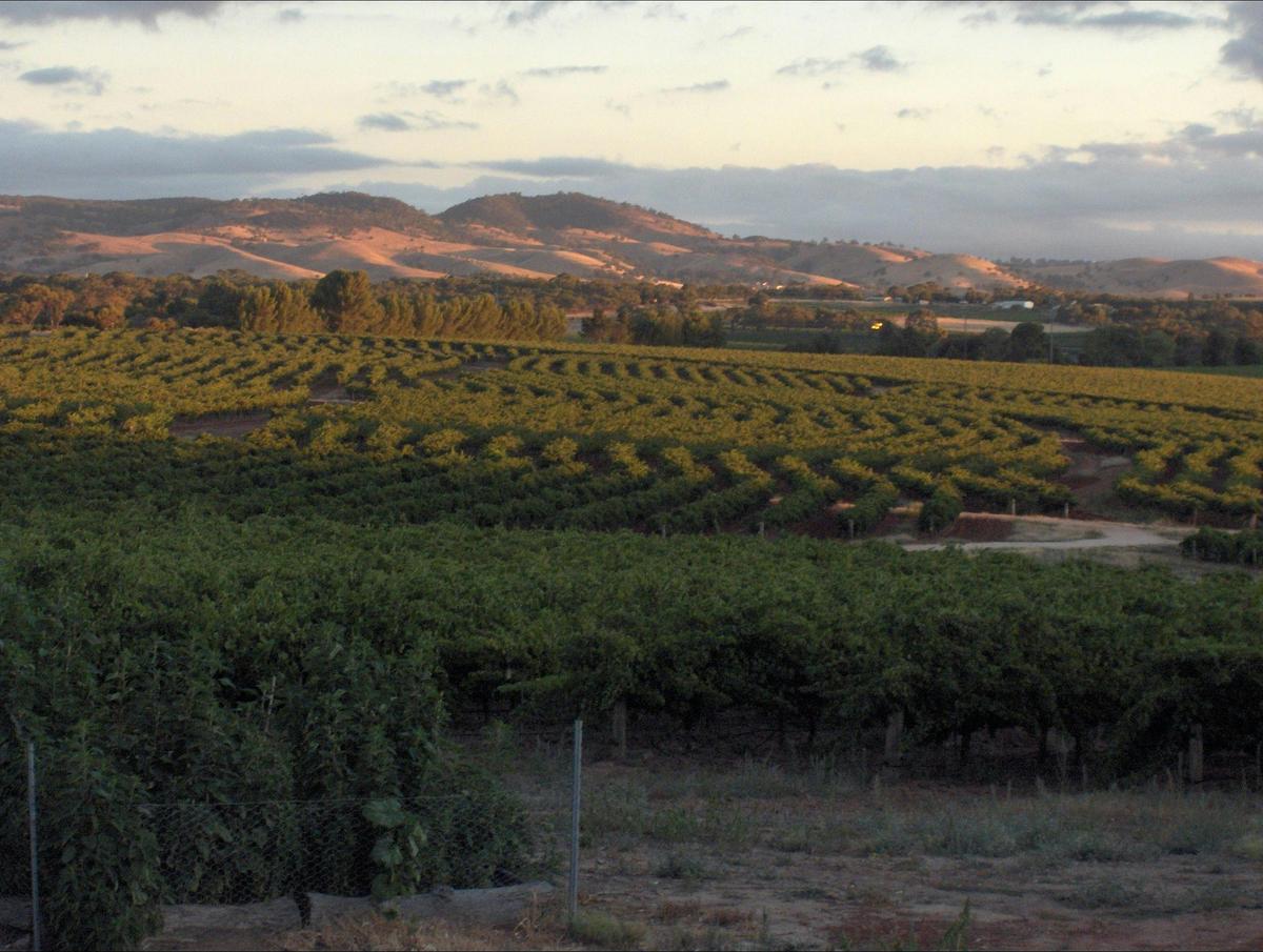 Heritage Wines