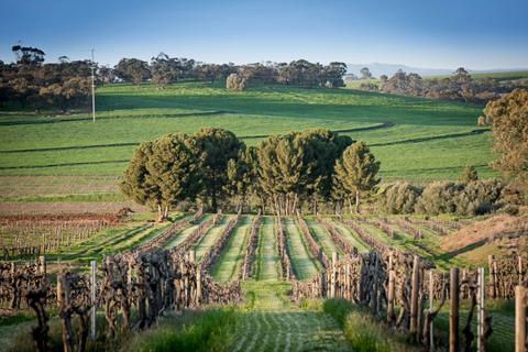 Heritage Wines