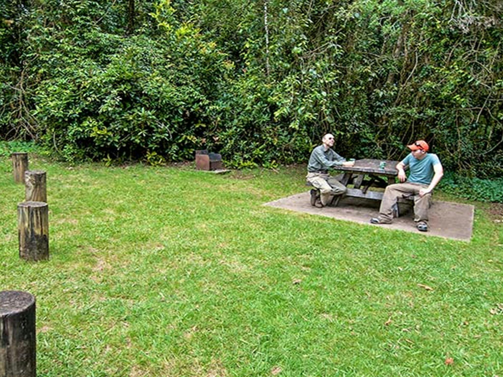 Two men sit at a picnic table at Bar Mountain picnic area, Border Ranges National Park. Photo