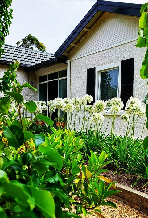 Isadore House Barossa