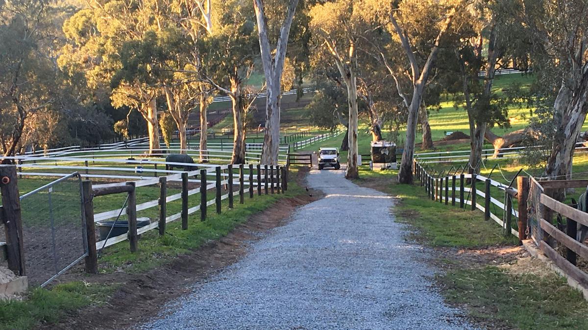Hallmark Farm Equine Retreat
