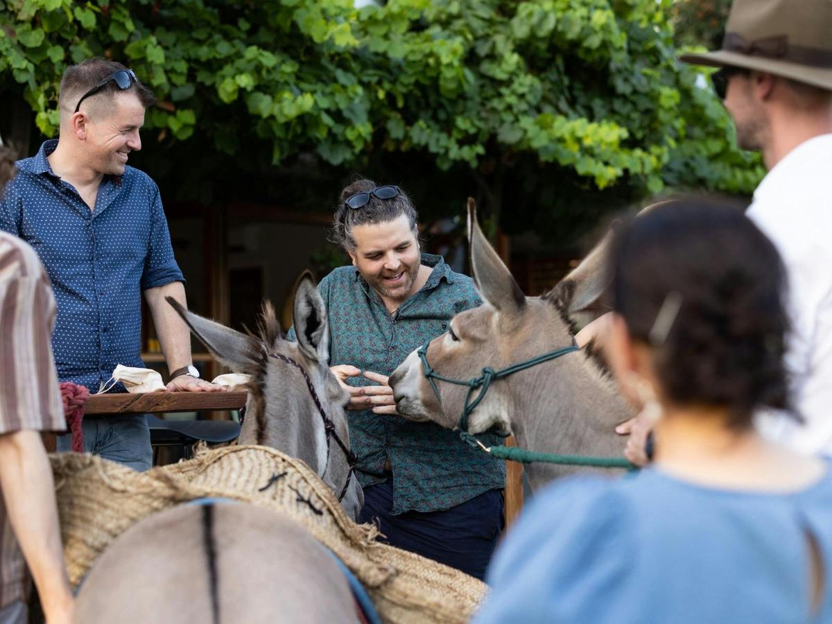 Group of people playing with a donkey