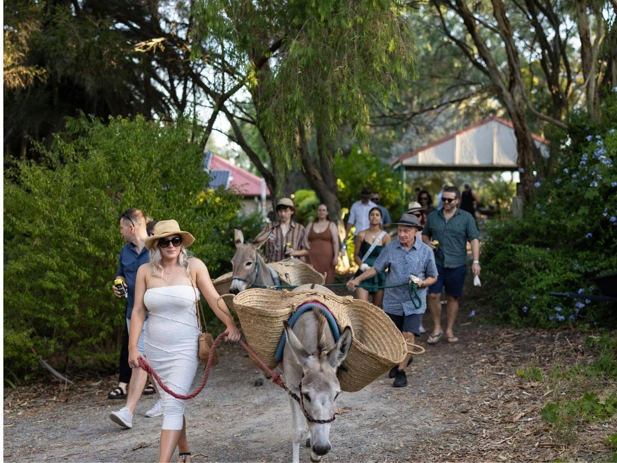 A Walking Donkey Wine Tour
