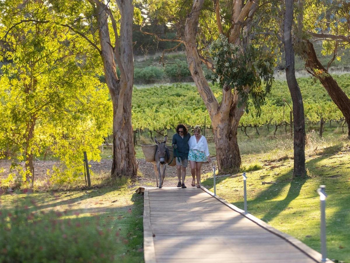 Couple walking along a bridge with a donkey