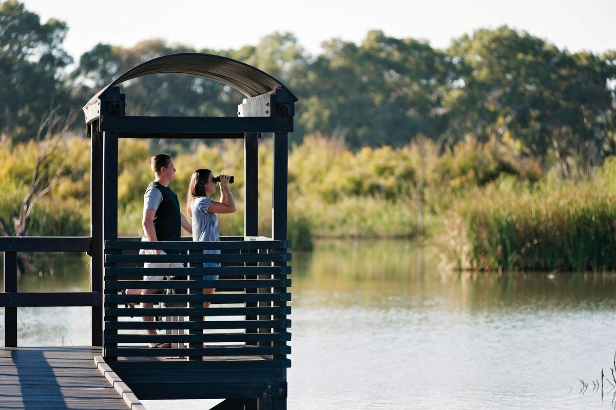 Hermann Gass Bird Sanctuary, Mannum