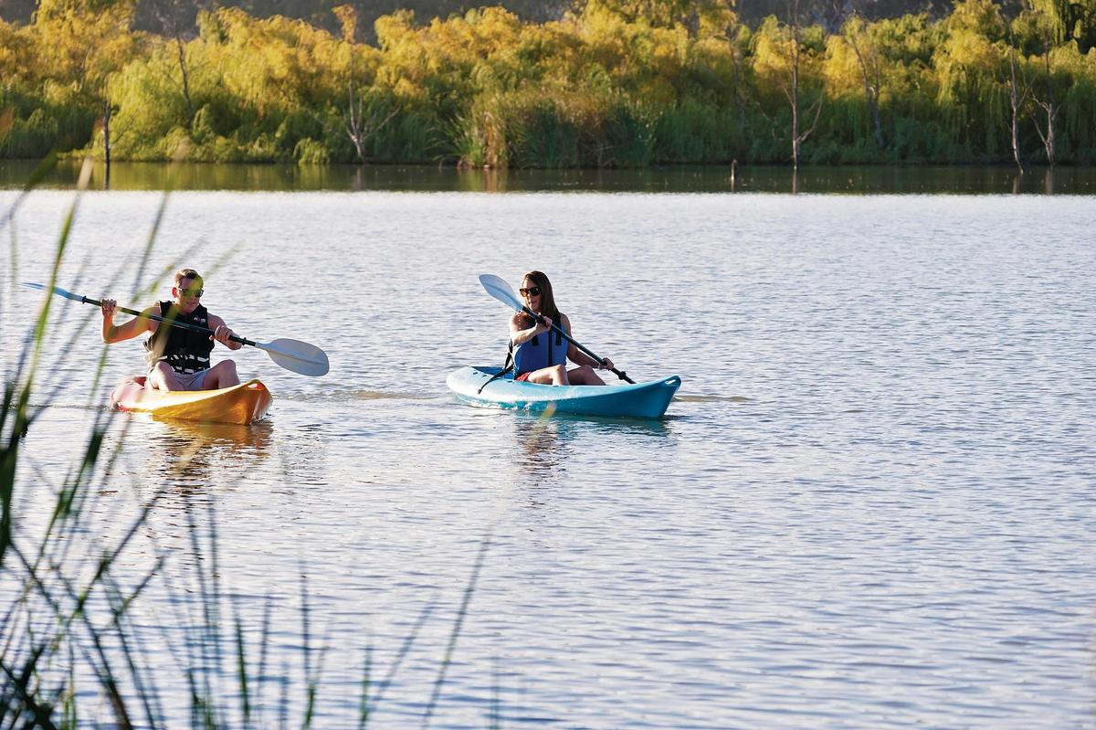 Hermann Gass Bird Sanctuary, Mannum
