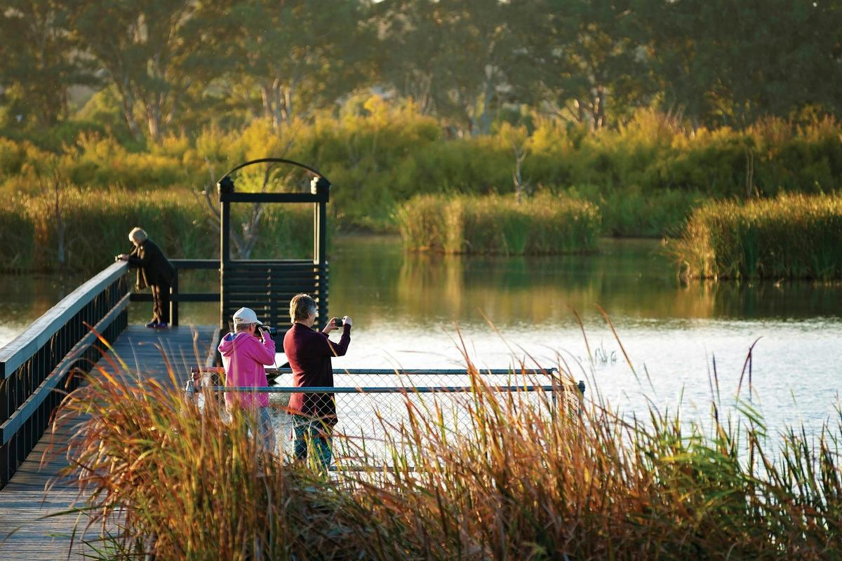 Hermann Gass Bird Sanctuary, Mannum
