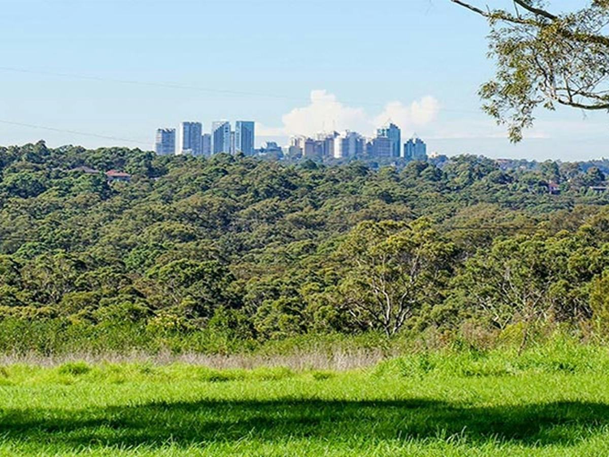 Tunks Hill picnic area, Lane Cove National Park. Photo: OEH