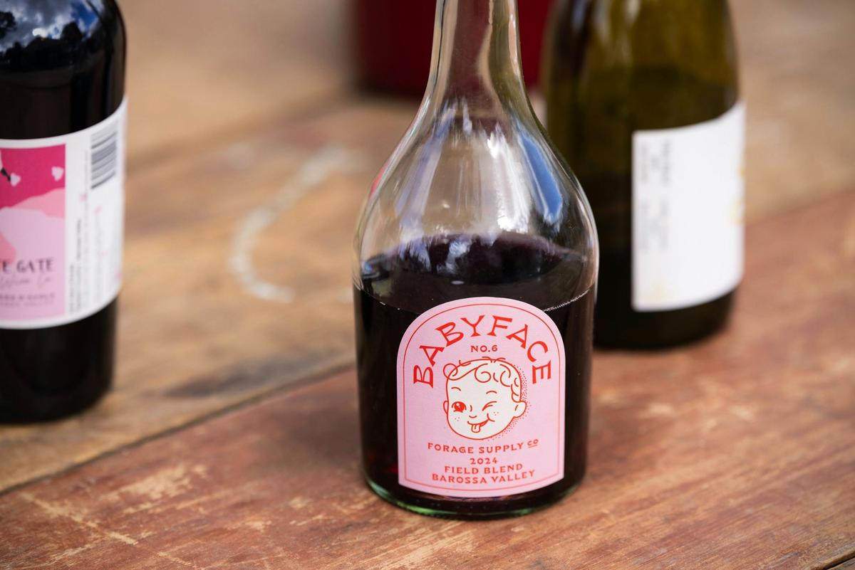 Forage Supply Co. Baby Face Field Blend