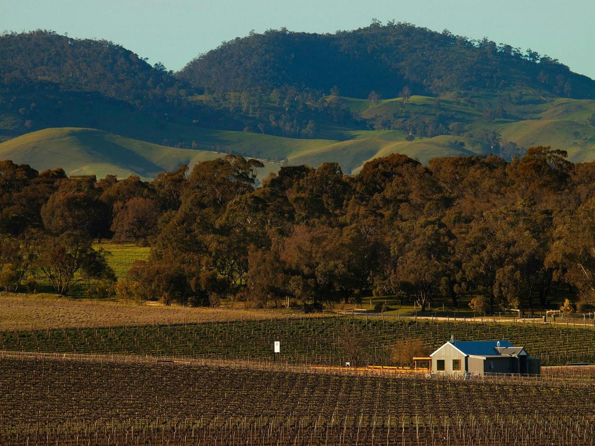 Cellar Door nestled in Stone Well