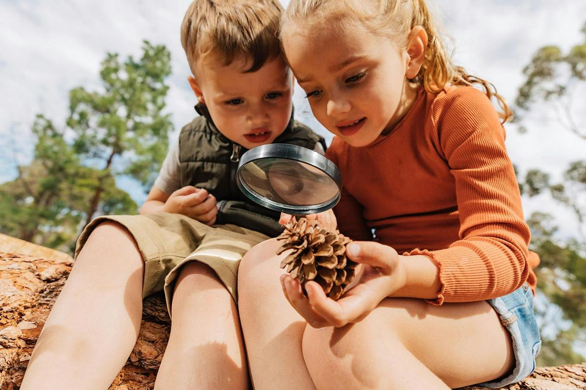 Hope Valley Reservoir Reserve is a natural open space for all the family to enjoy