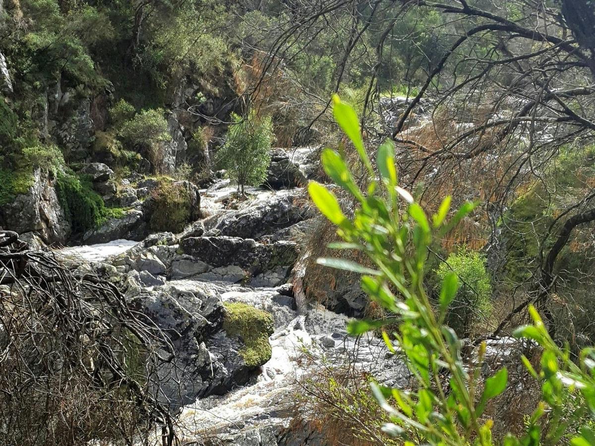 Hindmarsh Falls tranquil setting.