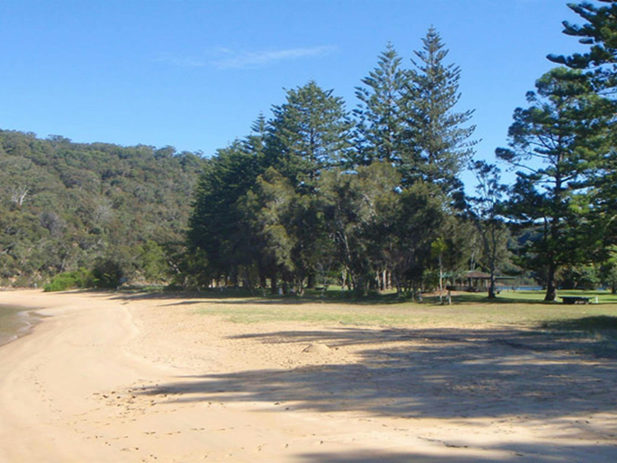 The Basin picnic area, Ku-ring-gai Chase National Park. Photo: David Finnegan/NSW Government