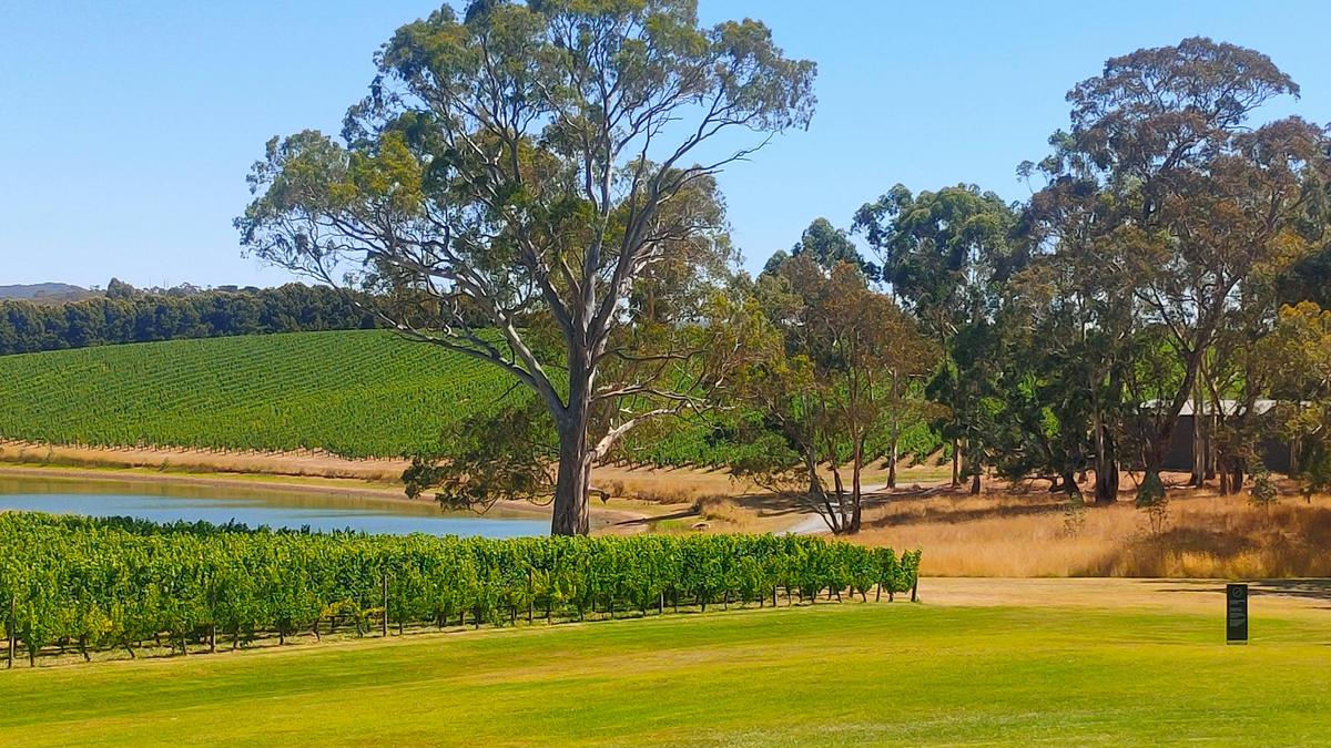 Adelaide Hills
