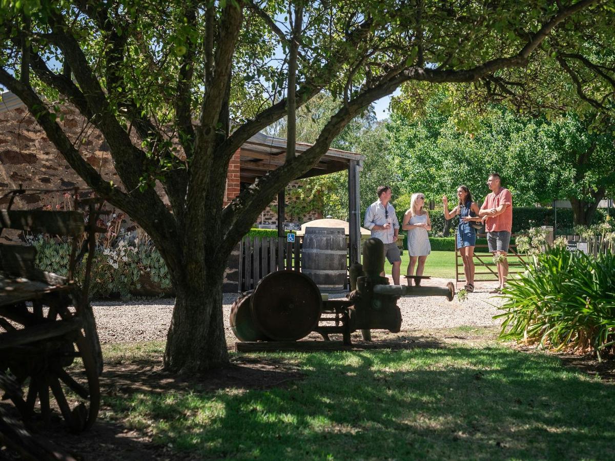 Create unforgettable memories at Langmeil Winery!