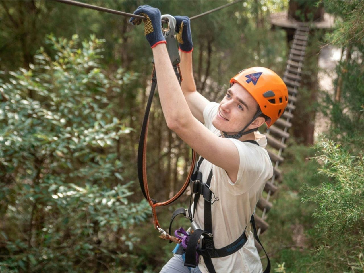 Treetops Adventure Aerial Course