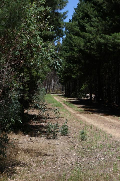 Kersbrook Walking Trails