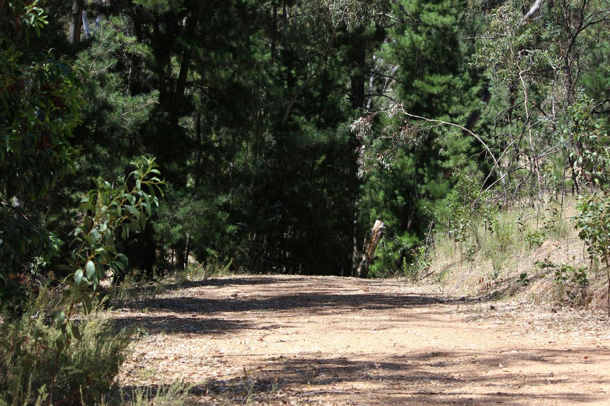 Walking Trail