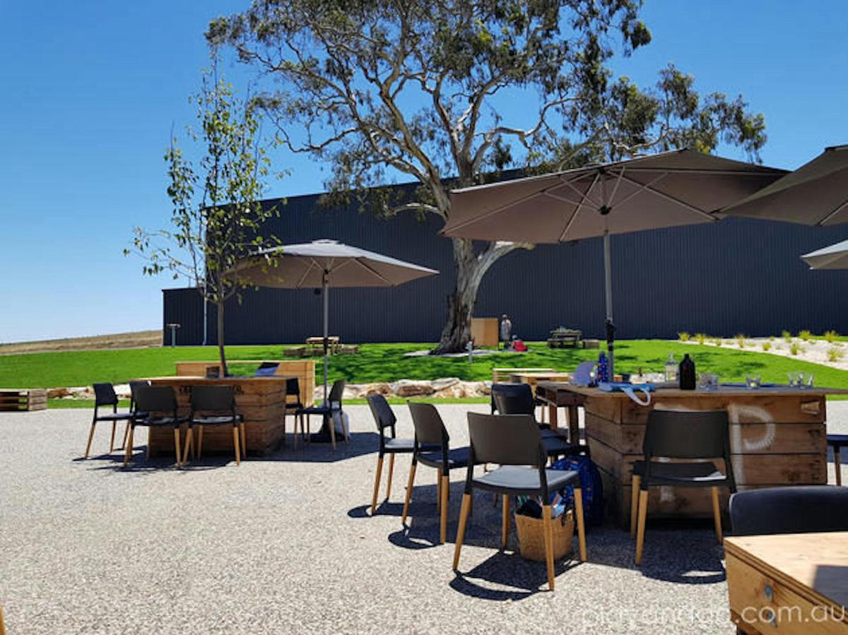 Lot100 Cellar door