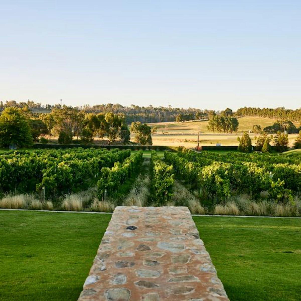 Heli Lunch - Adelaide Hills - Bird In Hand's LVN Restaurant