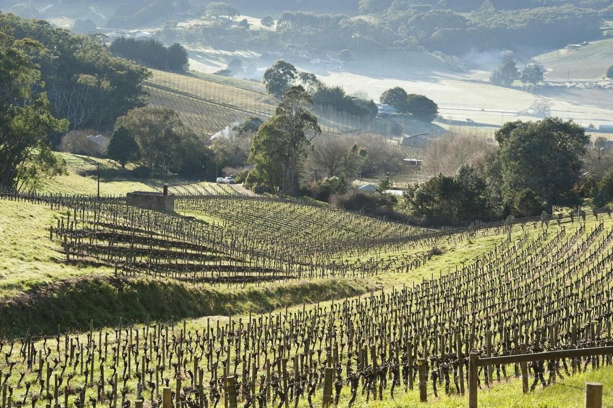 Heli Lunch - Adelaide Hills - Bird In Hand's LVN Restaurant