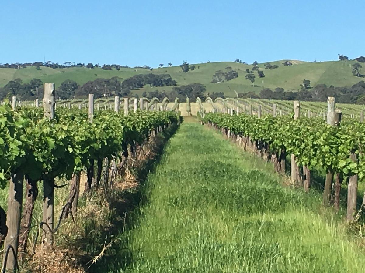 Karawatha Cottages Food & Wine Walk