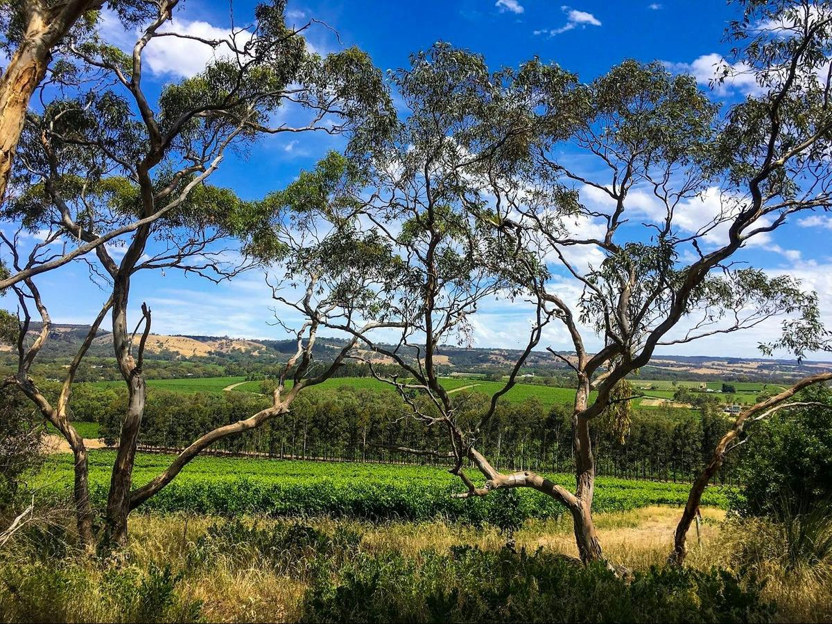 Karawatha Cottages Food & Wine Walk
