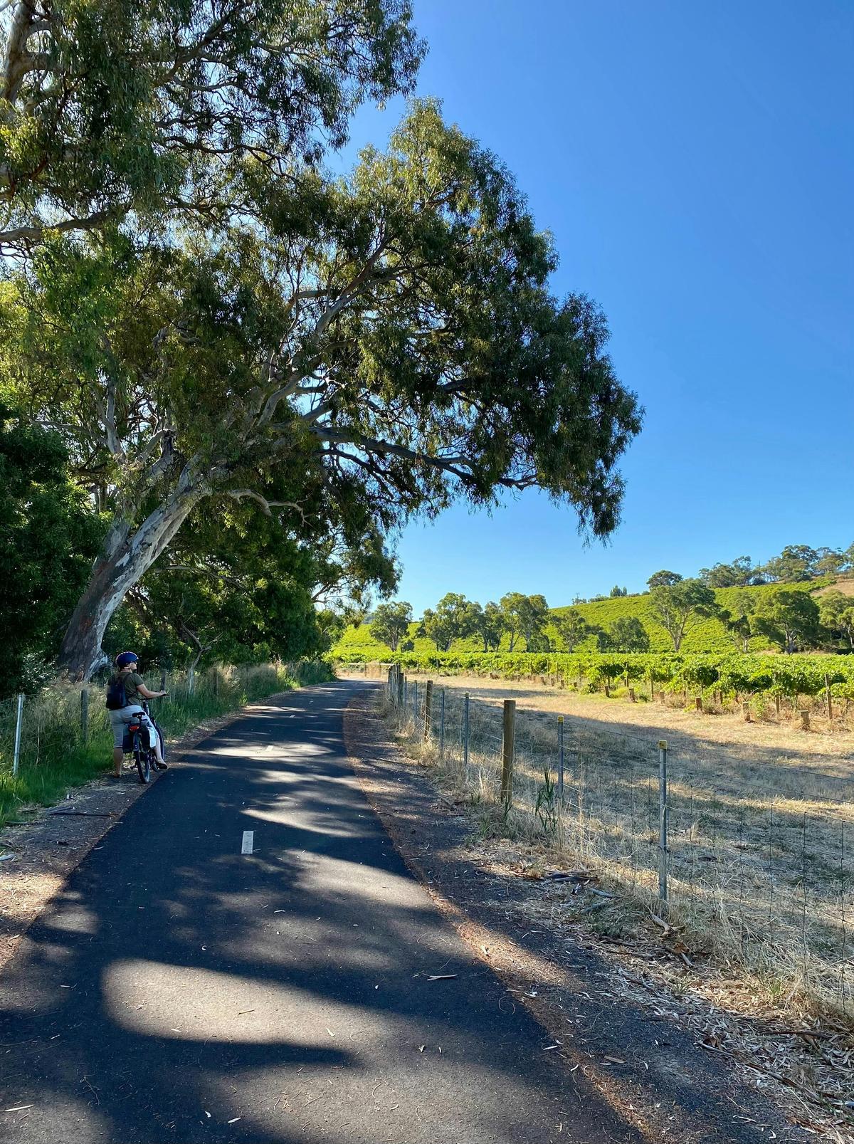 Karawatha Cottages Self-Guided Walking  & Cycle Trails