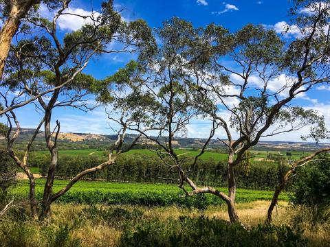 Karawatha Cottages Food and Wine Experiences
