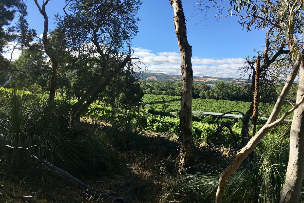 Karawatha Cottages Self-Guided Walking  & Cycle Trails