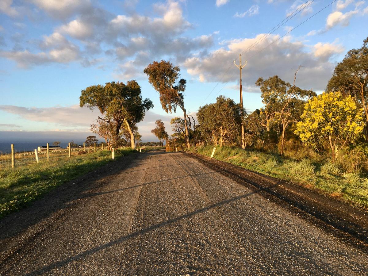 Exploring McLaren Vale Region