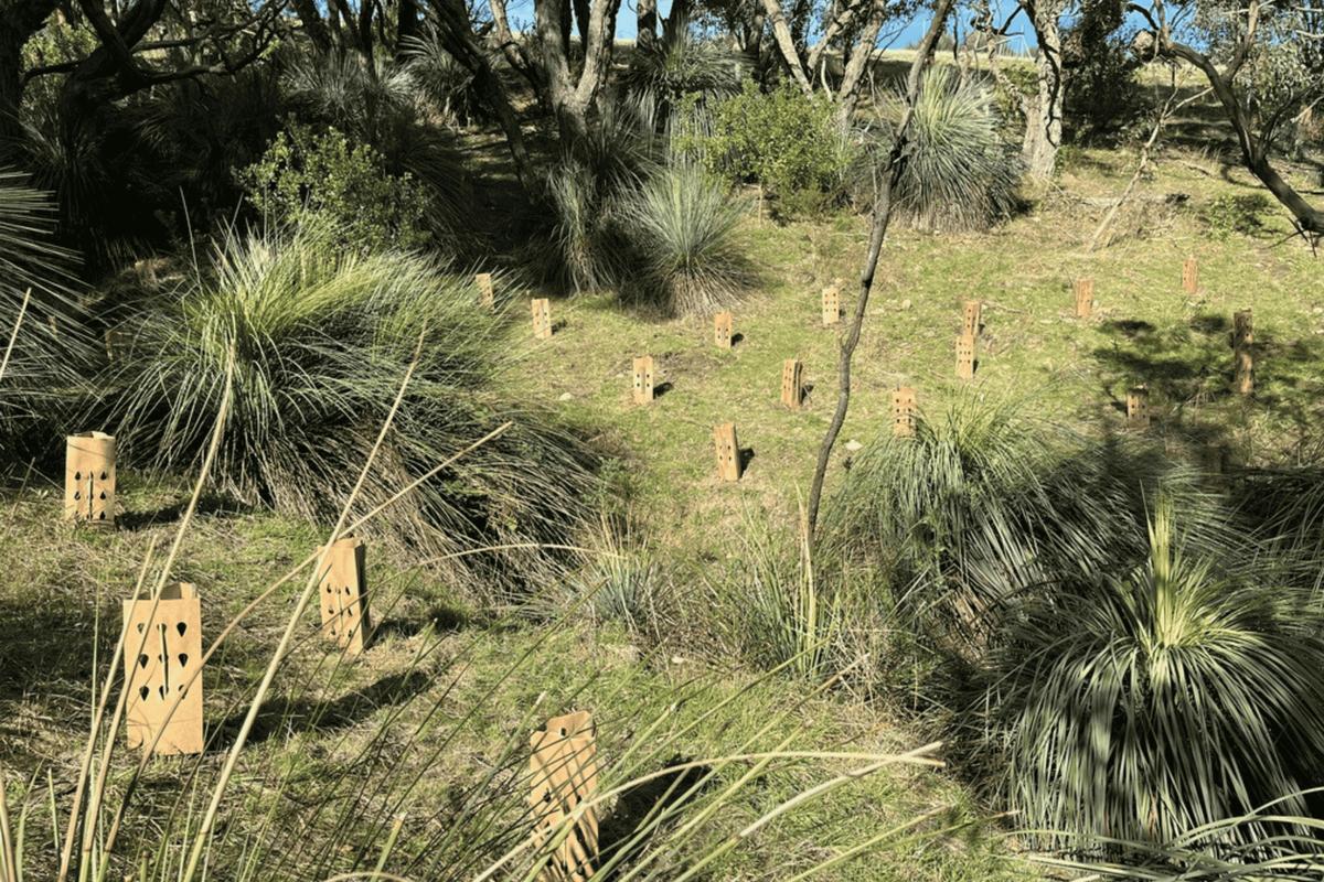 Hindmarsh Valley National Park