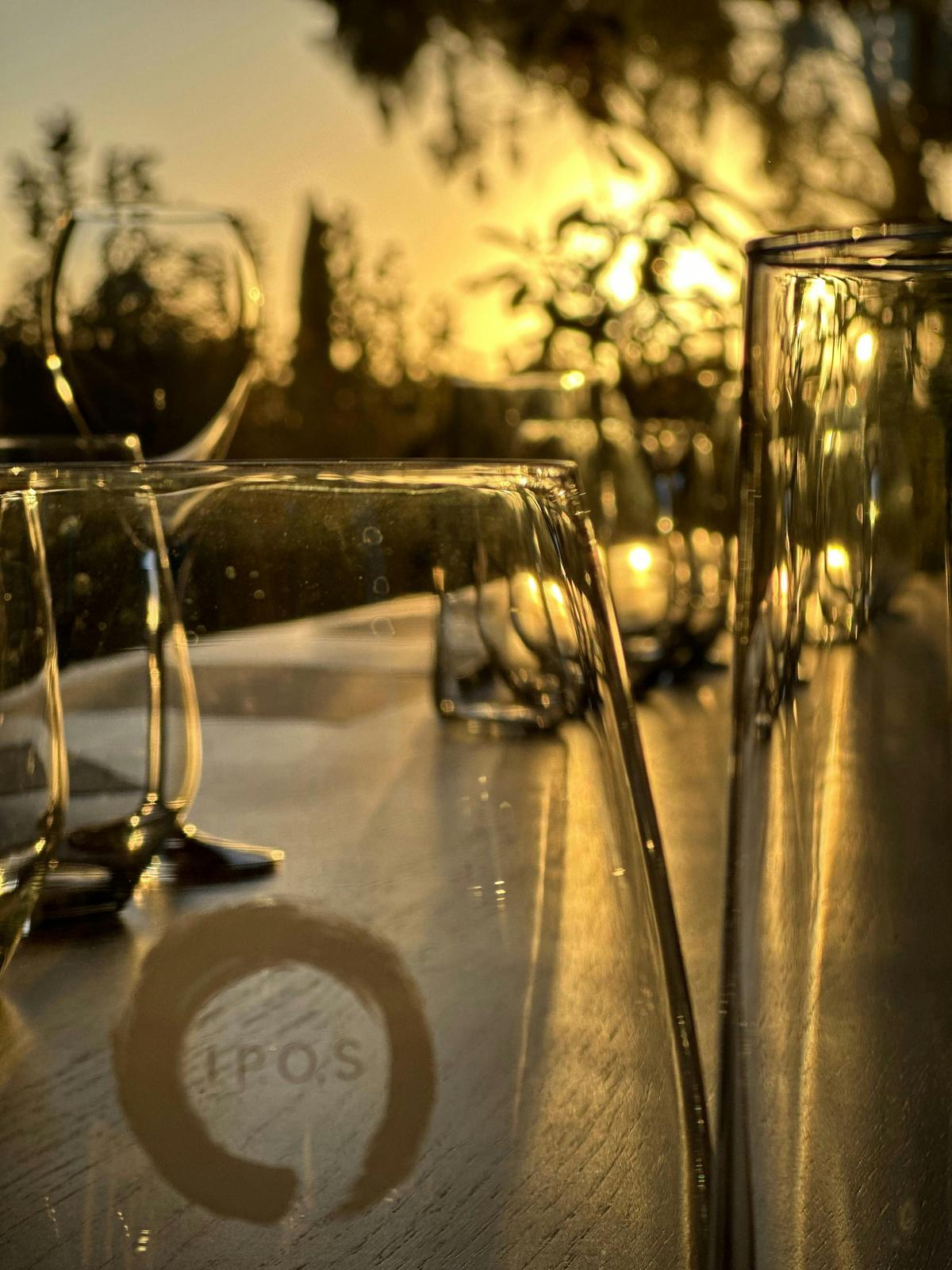 Soft light filtering through Tasting Room