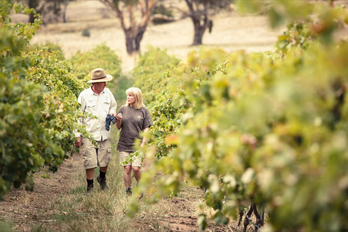 Lambert Estate owners Jim & Pam in the vineyard.