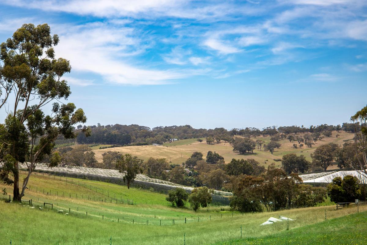 Spectacular view of Kenton Valley
