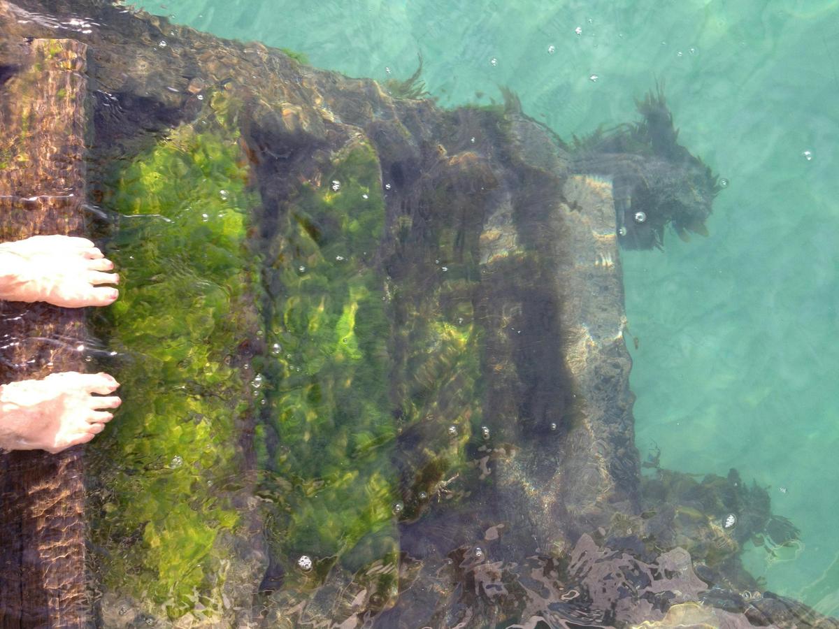 Jetty, Horseshoe Bay