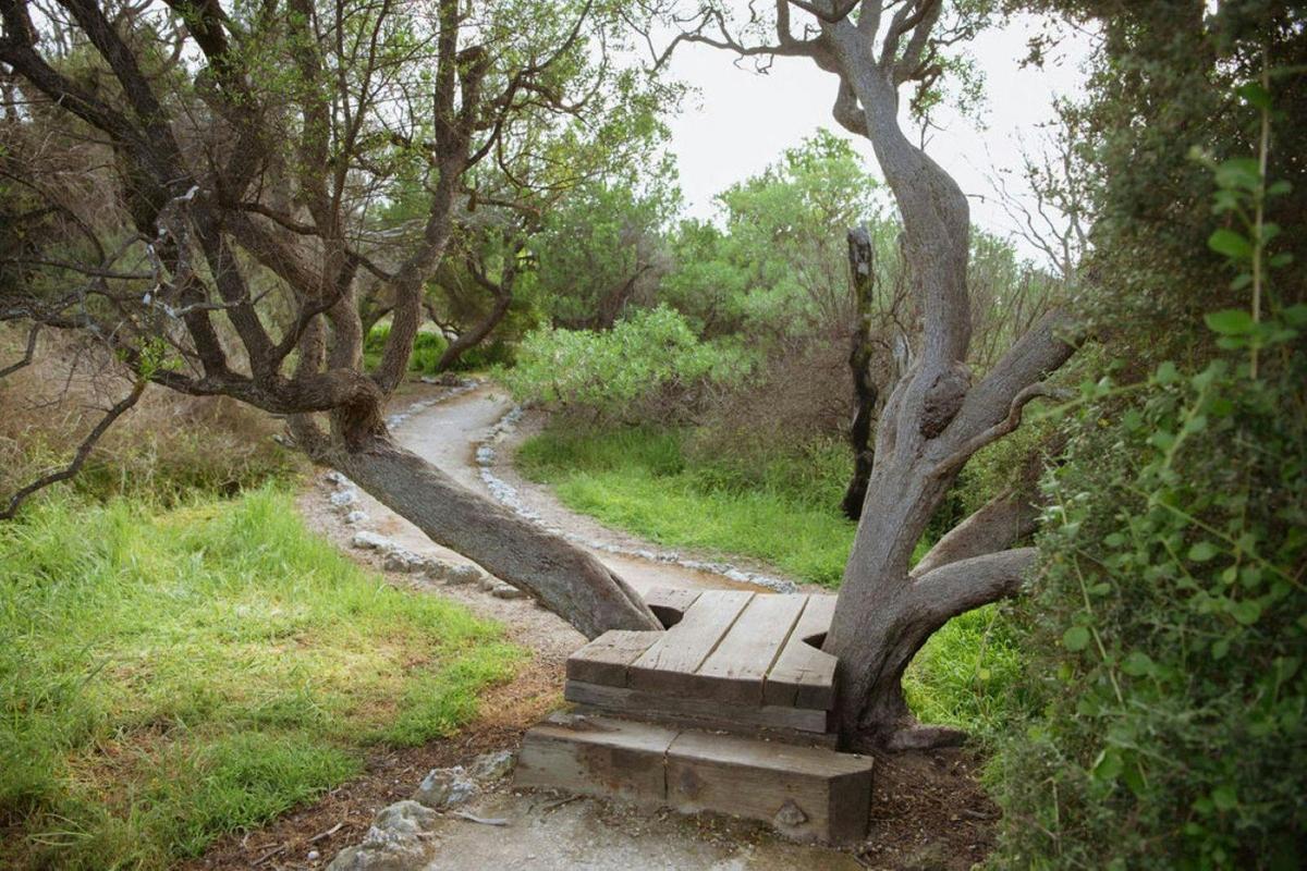 Winding trails on the Kangaroo Island Sculpture Trail