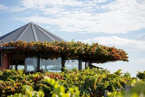 Hugh Hamilton Wines Experiences