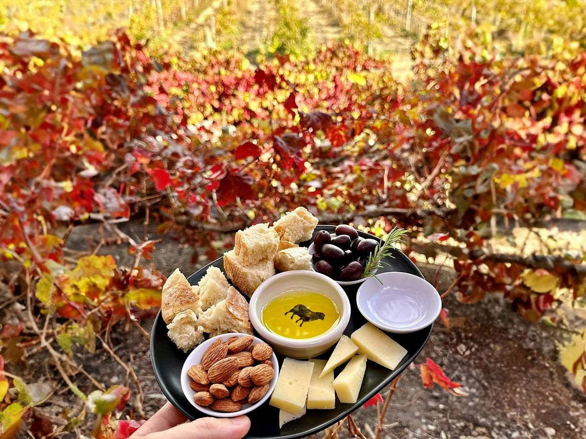 Hugh Hamilton Wines Tasting Plate