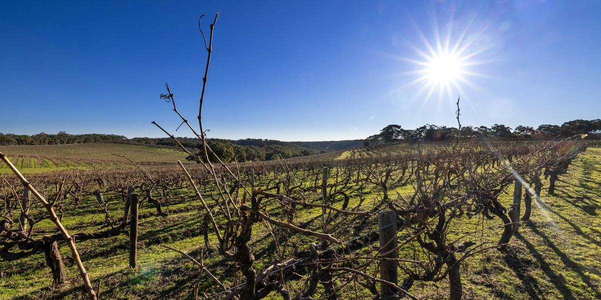 Blewitt Springs McLaren Vale