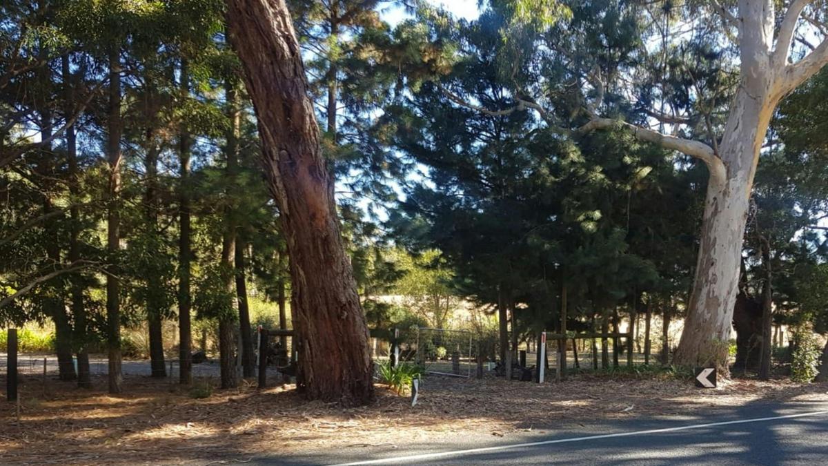 500m South of Kuitpo Forest Headquarters, the entrance to Winter Wetlands is clearly marked between two massive gum trees. GPS: -35.21694, 138.6970