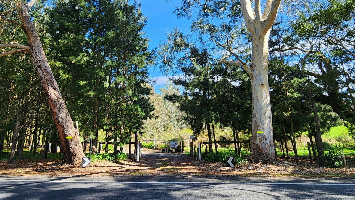 500m South of Kuitpo Forest Headquarters, the entrance to Winter Wetlands is clearly marked between two massive gum trees. GPS: -35.21694, 138.6970