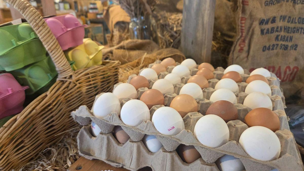 Fresh Farm Eggs