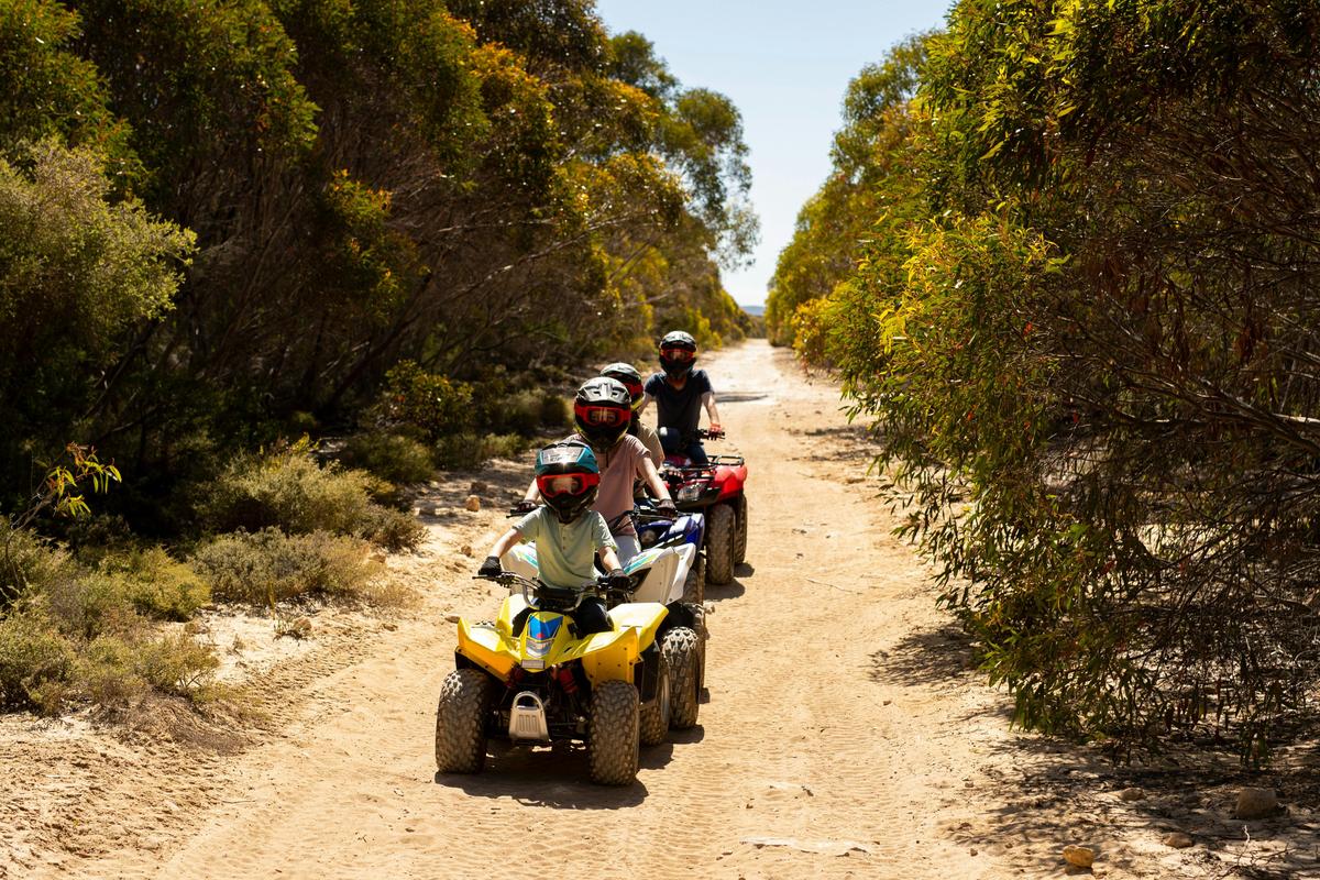 Quad Bike Family