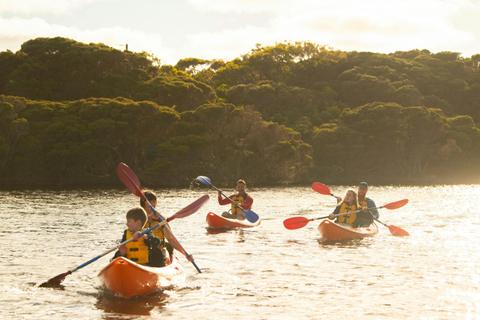 Kayak Tours & Hire