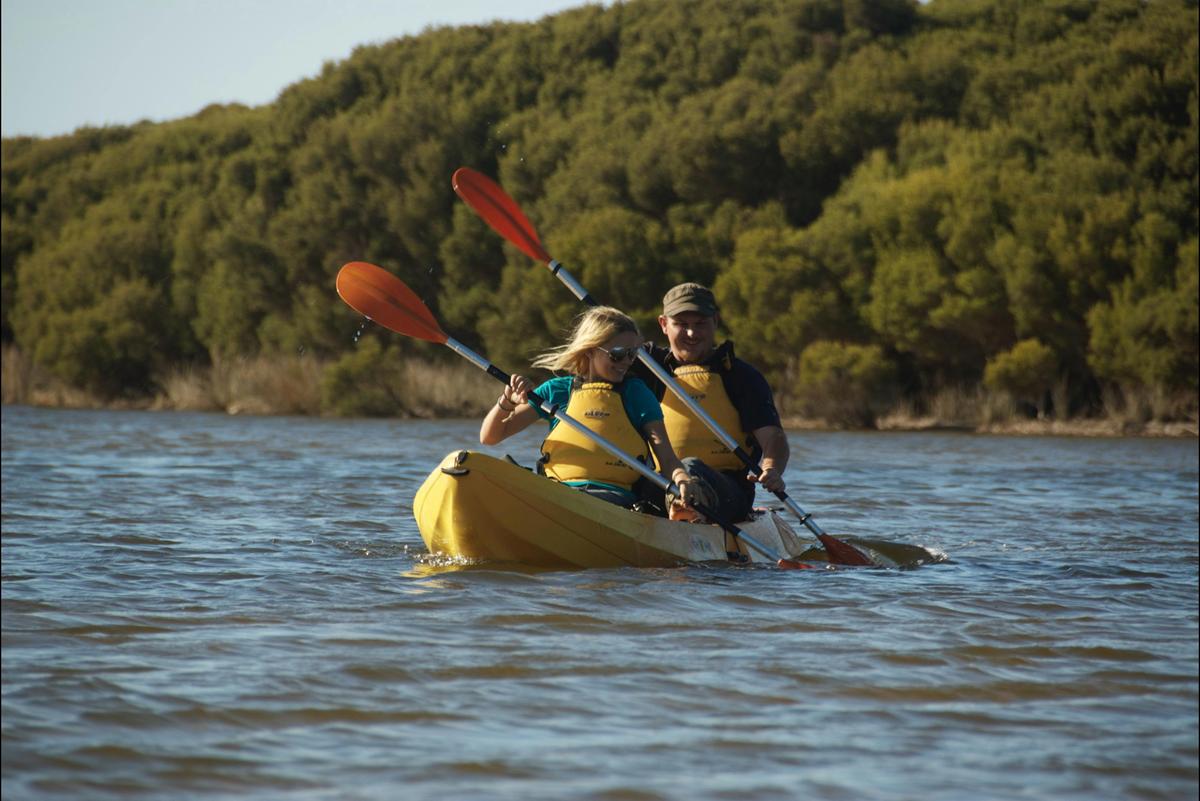 Kayak Tours & Hire