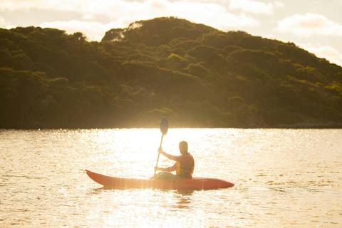 Kayak Tours & Hire