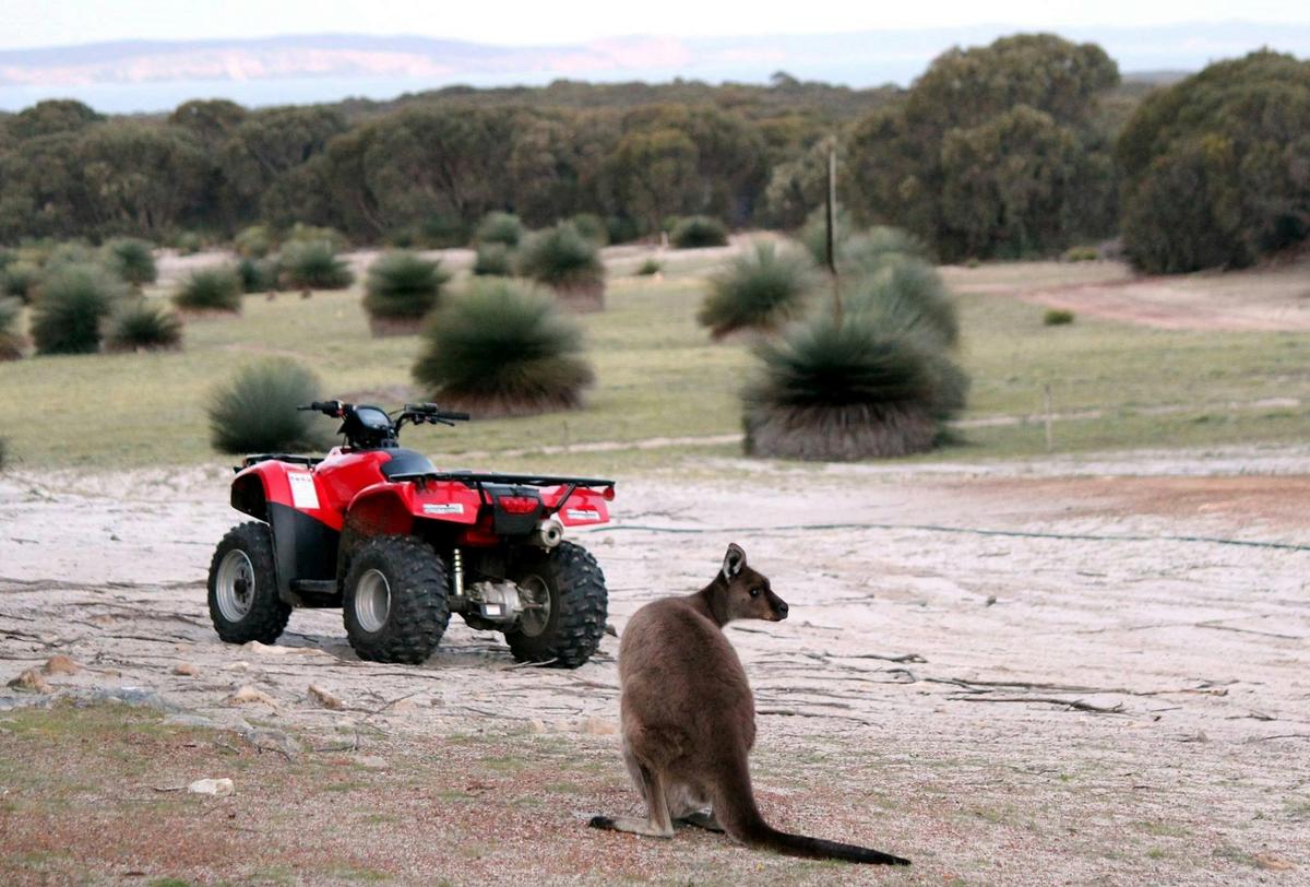 Quad Bike Discovery Tour