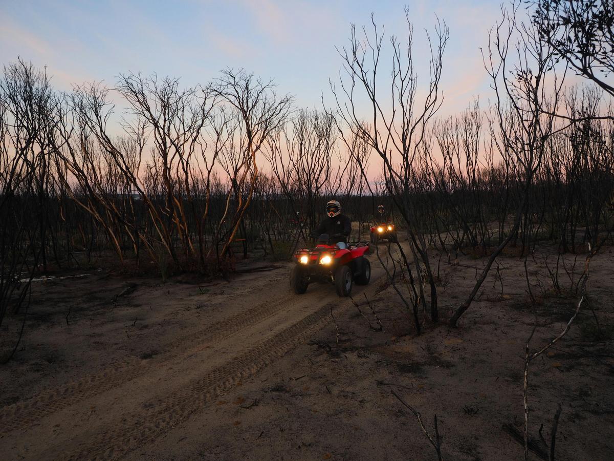 Sunset Kangaroo Safari Quad Adventure